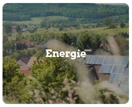 https://www.gruene.de/themen/energie