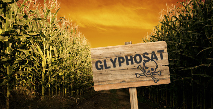 Wir wollen Mensch und Natur vor dem Pflanzengift Glyphosat schützen