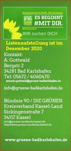 Flyer Bündnis 90 / DIE GRÜNEN Bad Karlshafen