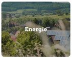 https://www.gruene.de/themen/energie